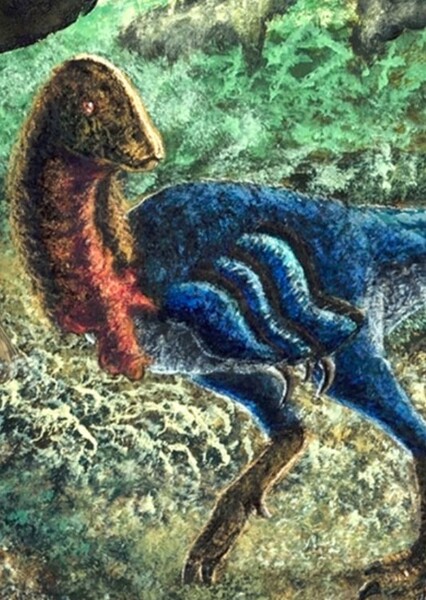 Eoneophron