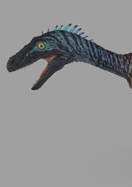 Eoraptor photo