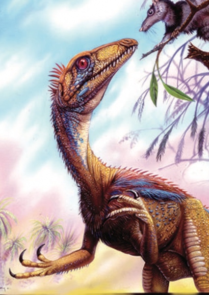 Eoraptor photo