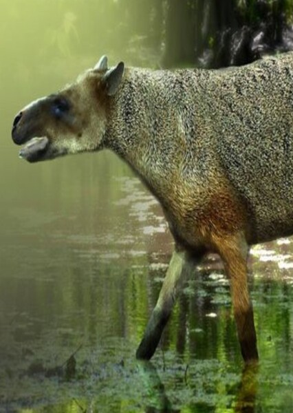 Eotitanops