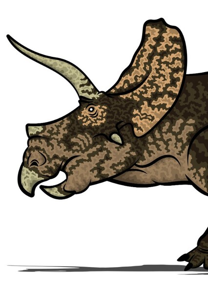 Eotriceratops photo