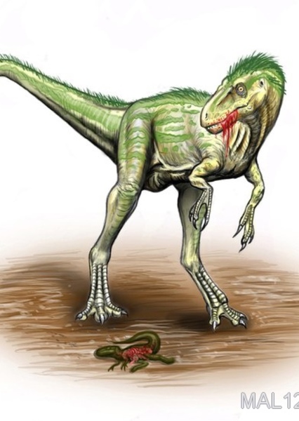 Eotyrannus photo