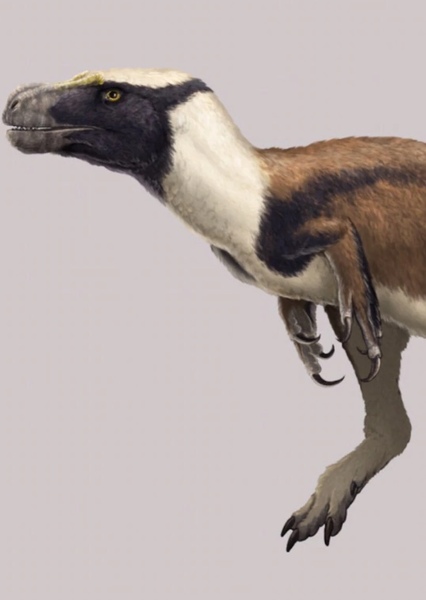 Eotyrannus