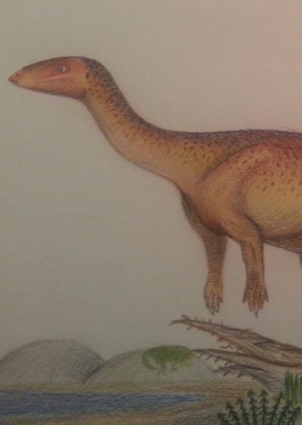 Eousdryosaurus photo