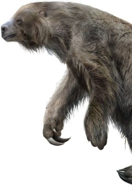 Eremotherium photo