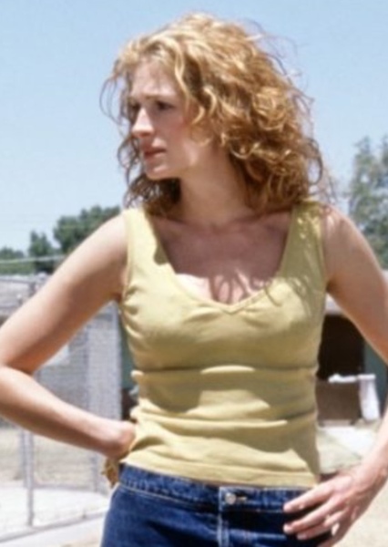 Erin Brockovich photo