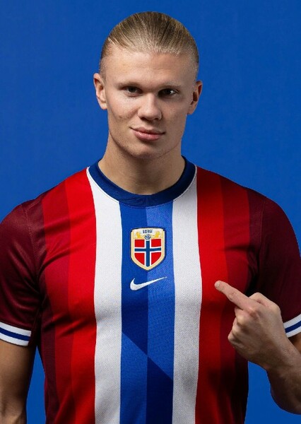 Erling Holland photo