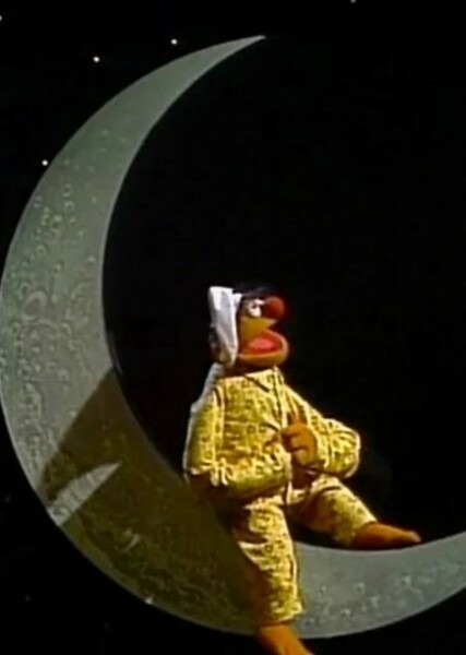 Ernie (Sesame Street) photo
