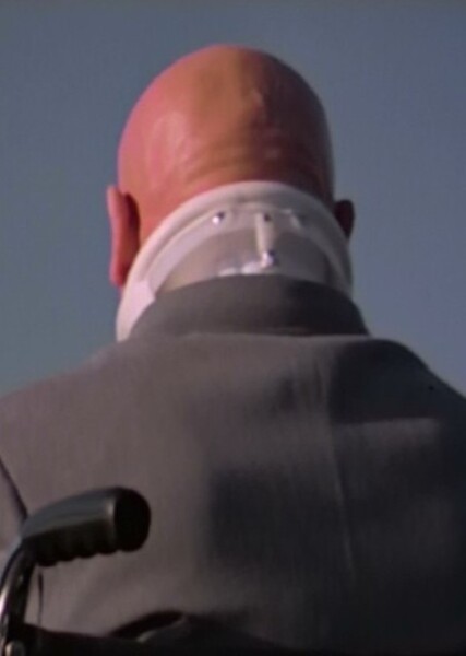 Ernst Stavro Blofeld photo
