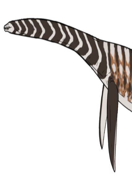 Eromangasaurus