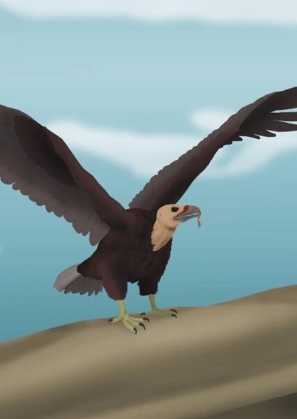 Errant Eagle