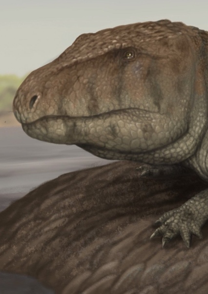 Erythrosuchus photo