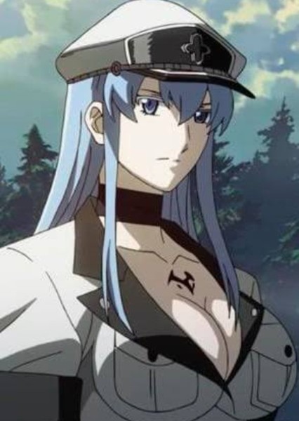 Esdeath (Akame Ga Kill) photo