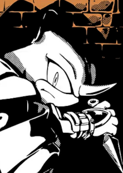 Espio the Chameleon photo