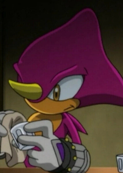 Espio the Chameleon (Sonic X) photo