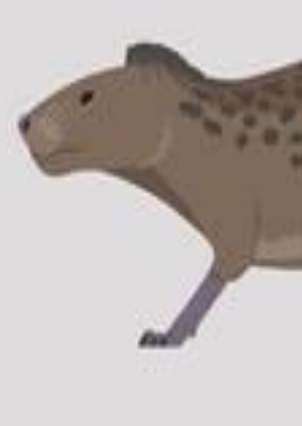 Essonodon