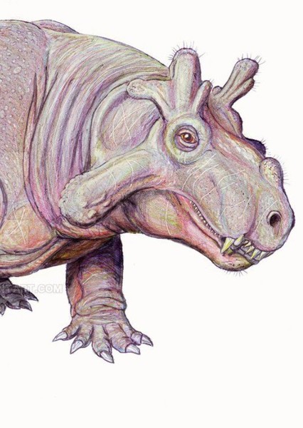 Estemmenosuchus photo