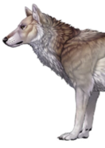 Etruscan Wolf
