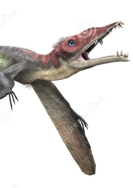Eudimorphodon photo