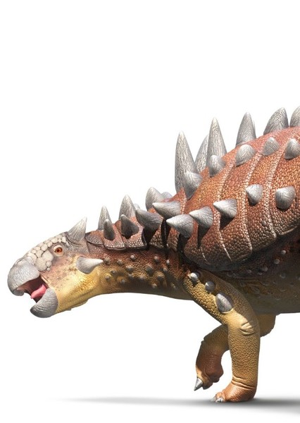 Euoplocephalus photo