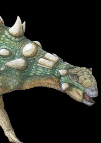 Euoplocephalus photo