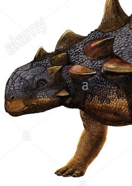 Euoplocephalus photo