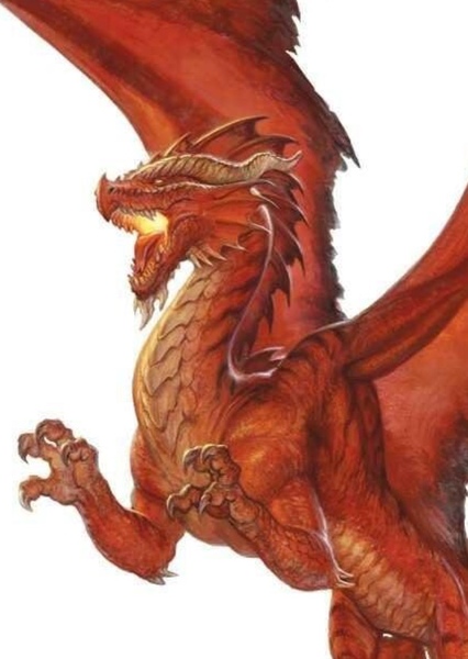 European Dragon photo