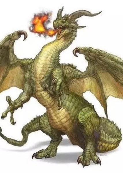 European Dragon photo