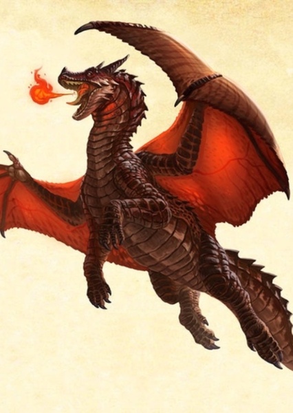 European Dragon photo