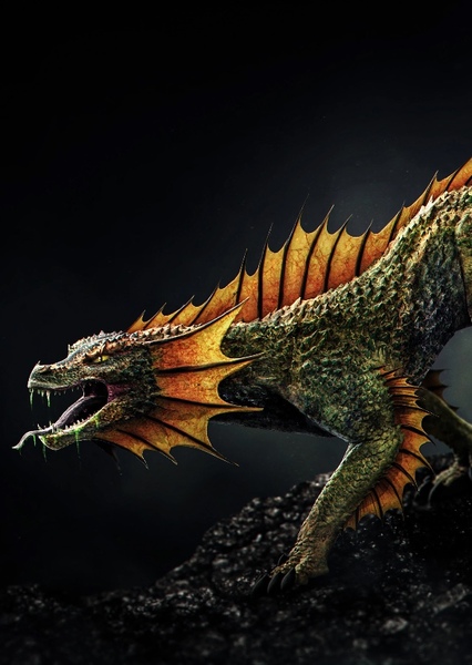 European Dragon photo