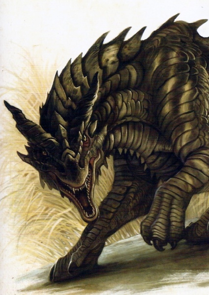 European Dragon photo