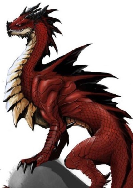 European Dragon photo