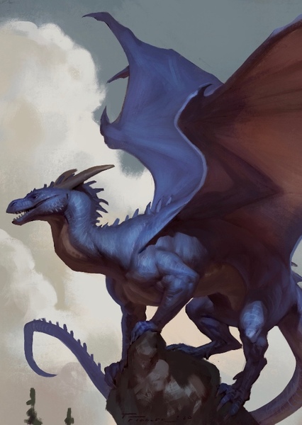 European Dragon photo