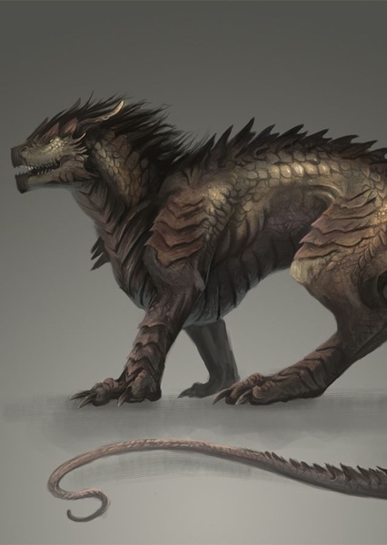 European Dragon photo