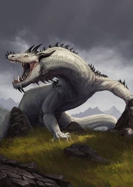 European Dragon photo