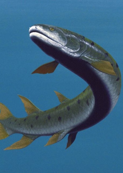 Eusthenopteron