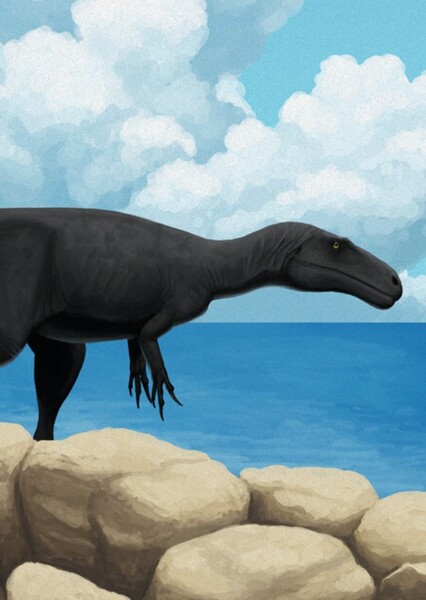 Eustreptospondylus photo