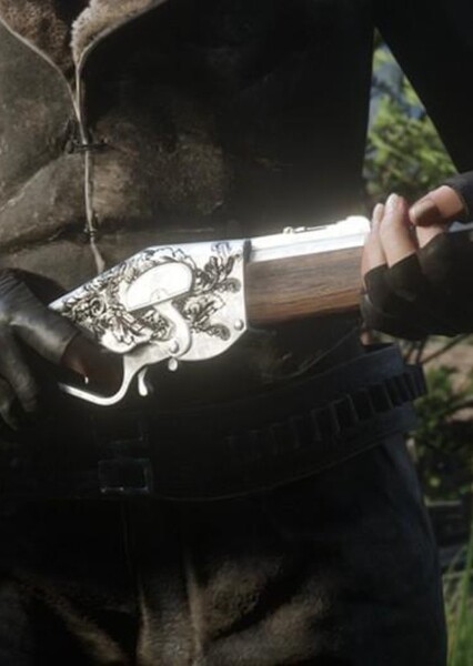 Evans Repeating Rifle photo