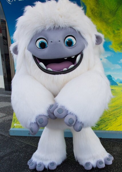Everest photo