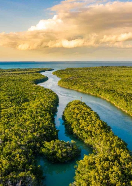 Everglades National Park