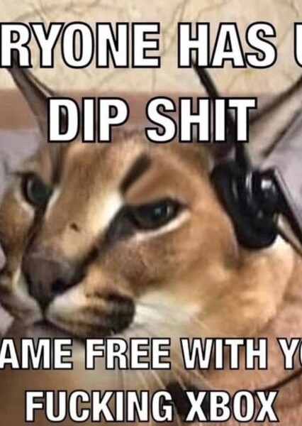 Everyone has Uno, dipsh*t
