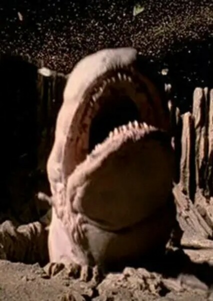 Exogorth photo