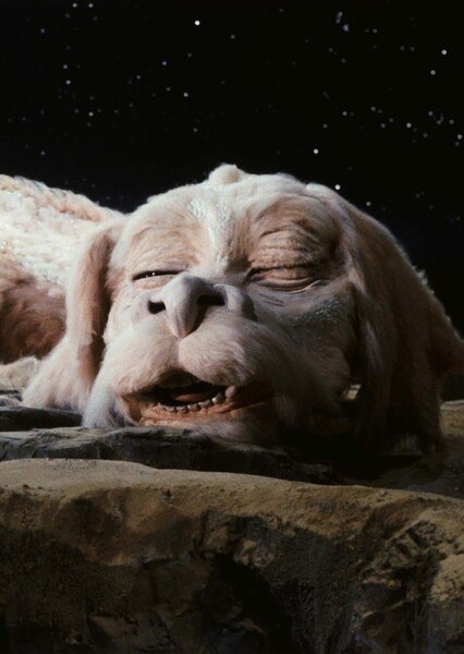 Falkor photo