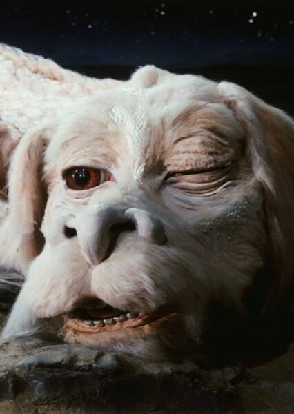 Falkor photo