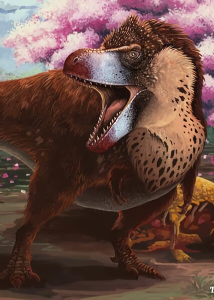 Feathered Dinosaurs