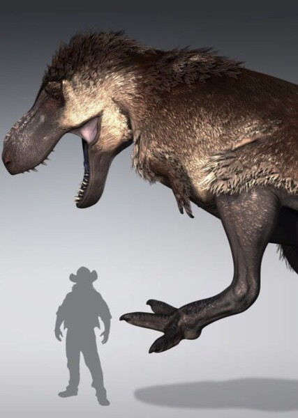 Feathered T-Rex photo