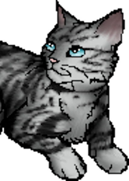 Feathertail (Warrior Cats) photo