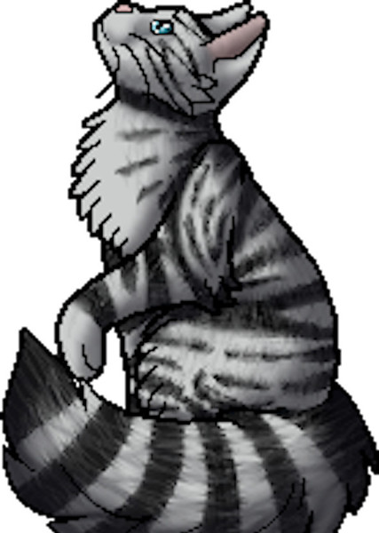 Feathertail (Warrior Cats) photo