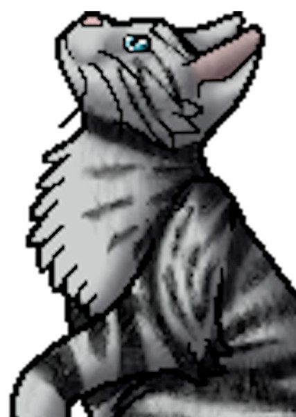 Feathertail (Warrior Cats) photo