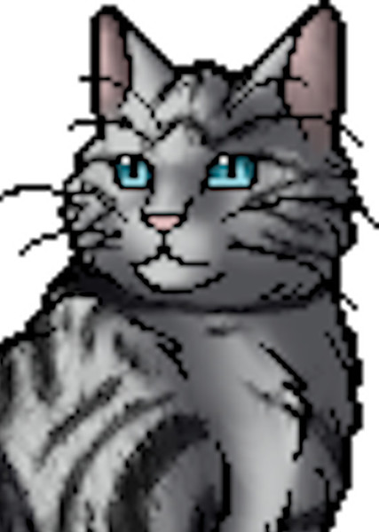 Feathertail (Warrior Cats) photo